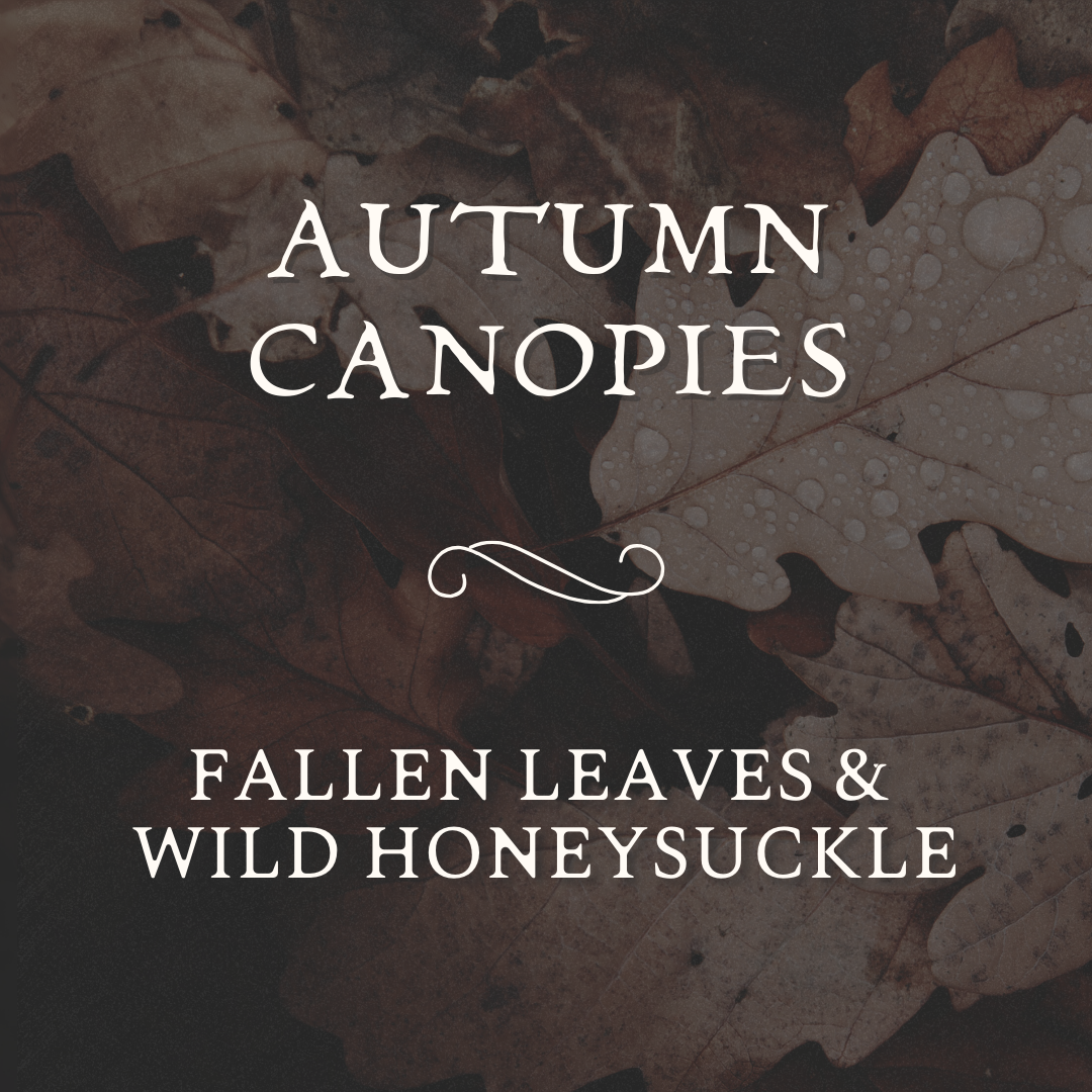 Autumn Canopies (16oz)